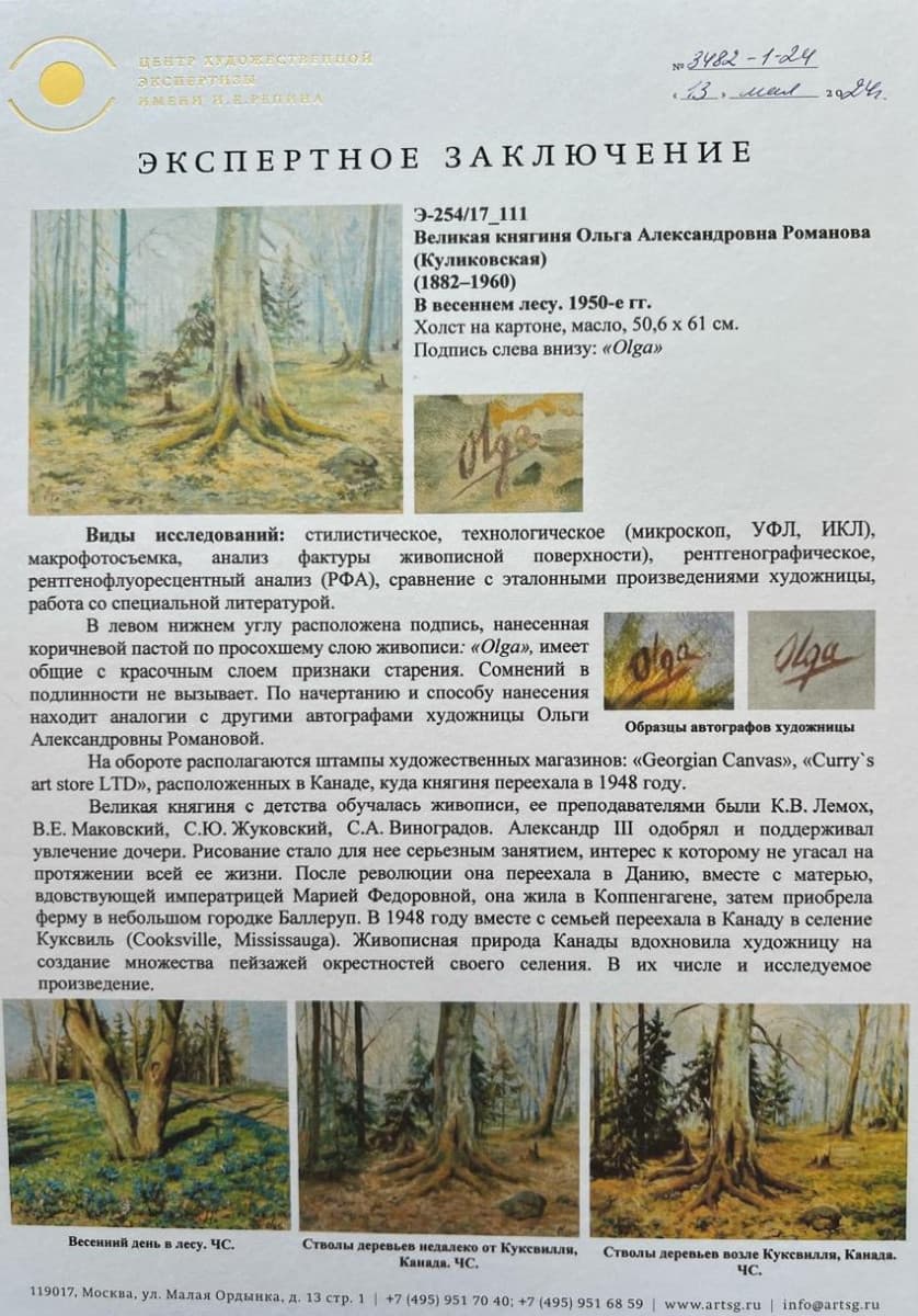 В весеннем лесу