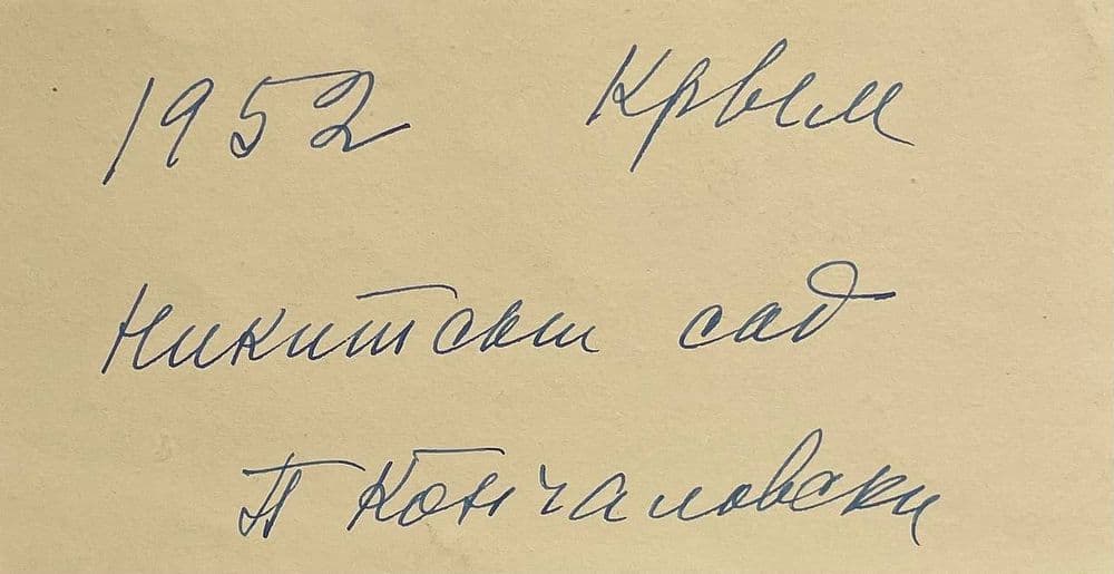 Крым. Никитский сад