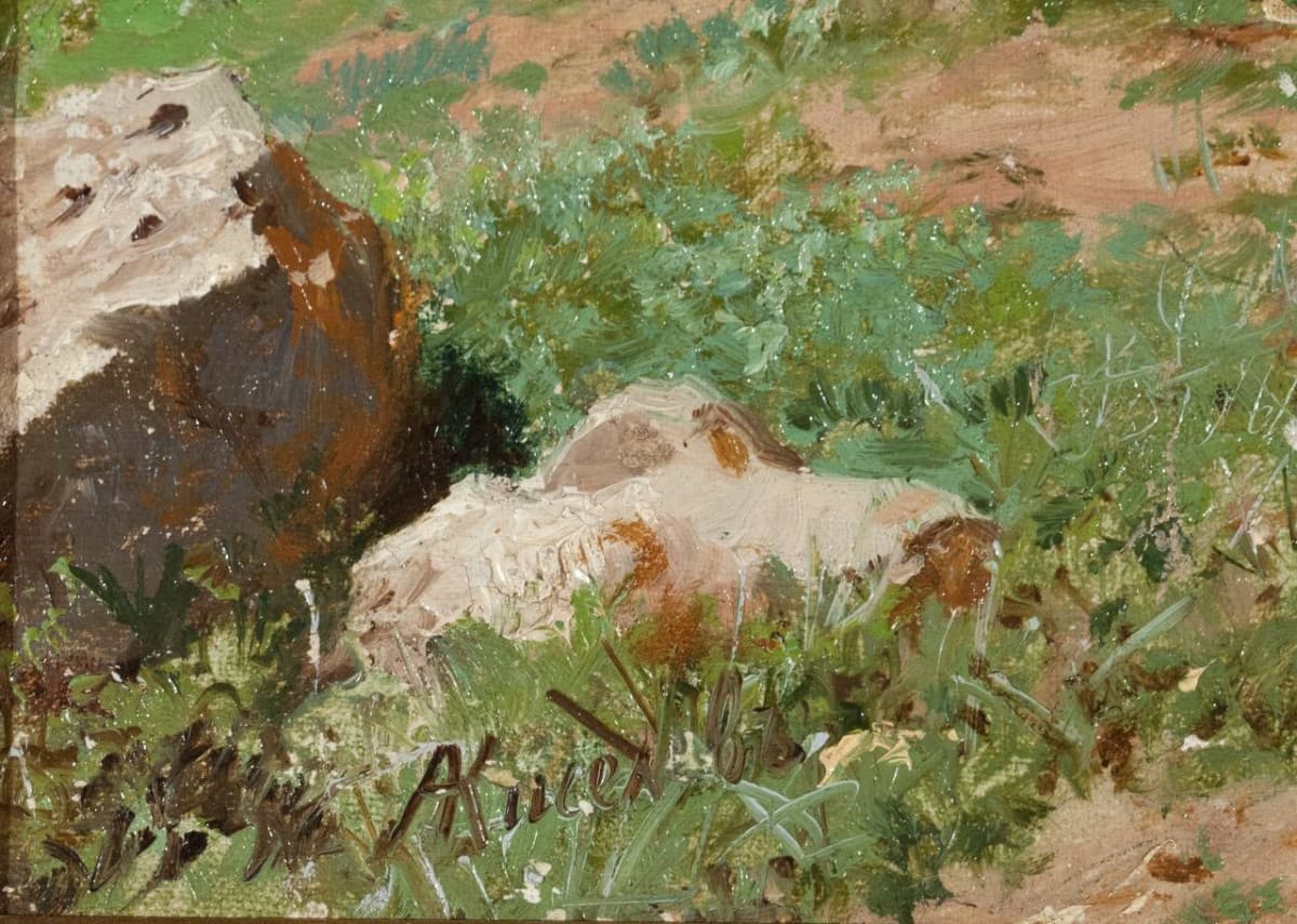 Улица в Богимово. 1890 г.