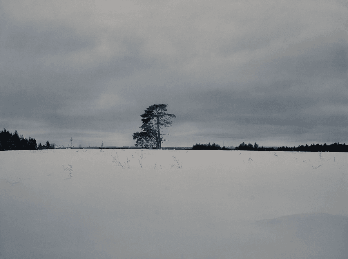 Выставка Евгении Буравлевой «Малая родина» в ММОМА до 31 марта.